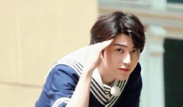 爆料蔡徐坤带货视频大全,揭秘明星带货背后的魅力与争议