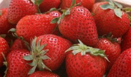 草莓在线观看1,甜蜜诱惑，浪漫来袭