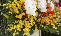 花篮网爆料最新消息今天